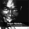 Segun Akinlolu - On a Cold Evening